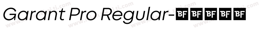 Garant Pro Regular字体转换